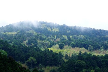 台湾　霧がかる阿里山の山々の風景
