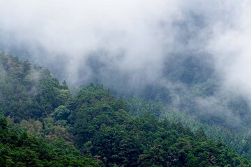 Fototapeta na wymiar 台湾　霧がかる阿里山の山々の風景 