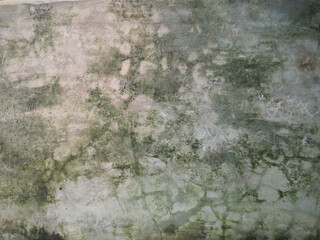 Concrete background with mold stains
