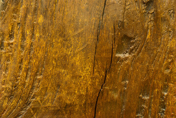 Abstract Surface texture and trenches on the bark of tree trunk