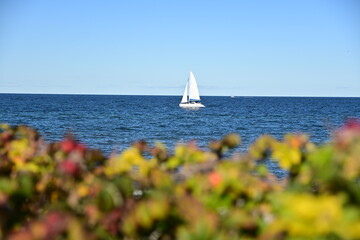 sailboat on the sea