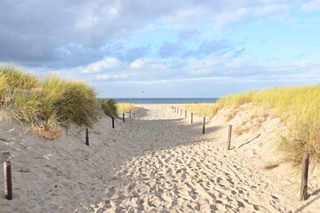 sand dunes and beach