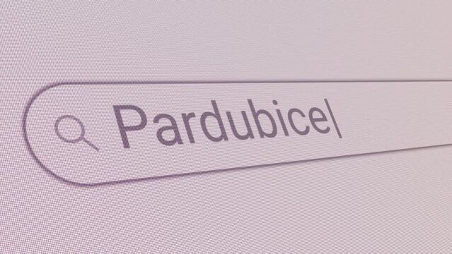 Search Bar Pardubice 
Close Up Single Line Typing Text Box Layout Web Database Browser Engine Concept