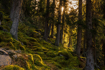 Herbstlandscha