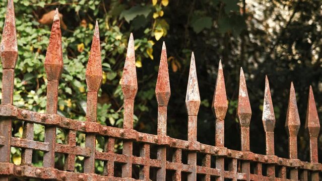 Ancient spiked rusty wrought iron fence with summer foliage