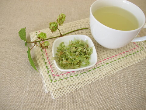 Herbal tea with dried hop flowers