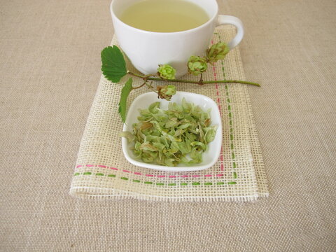 Herbal tea with dried hop flowers