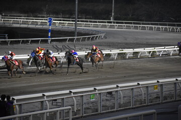 高知競馬場 © まじん