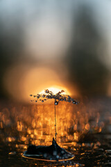 time clouds over the city