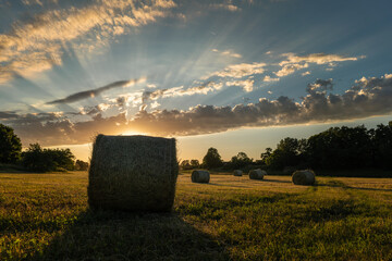 sunset over the field
