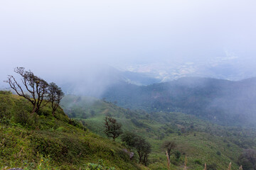 Trail up the mountain covered with fog