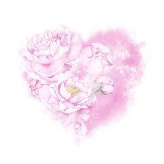 Beautiful heart figure made of pink peony flowers and pink fog, isolated on white background. Hand drawn watercolor.