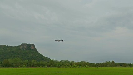 A farmer in a cap stands in a lush wheat field, directing a drone that is flying above the edge. Male controlling the equipment. Farming technologies