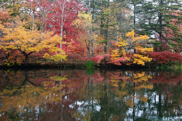 View of Kumoba Pond with autumn leaves, Karuizawa, Japan