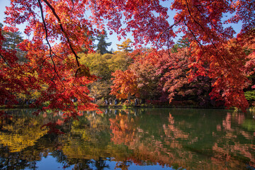 View of Kumoba Pond with autumn leaves, Karuizawa, Japan