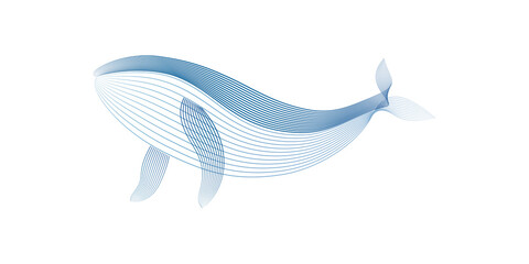 Humpback Whale by line art texture blue color in minimal style isolated on transparent background.