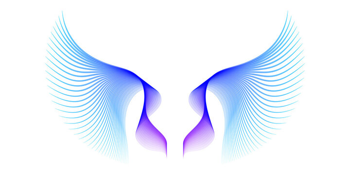 Abstract symmetry bird wings line colorful gradient blue purple isolated on transparent background.