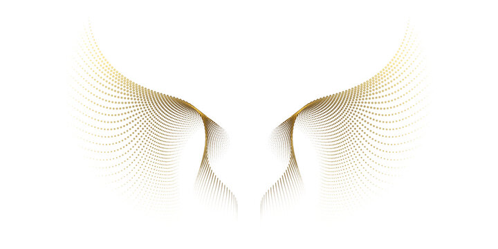 Abstract symmetry bird wings dots line pattern luxury gold light isolated on transparent background.