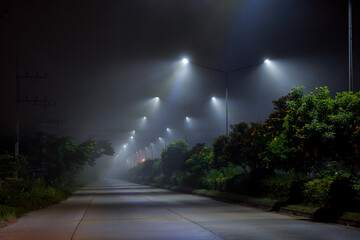 road way in night time