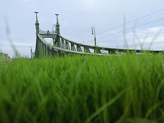 Liberty Bridge in Budapest, the bridge with grass in the foreground