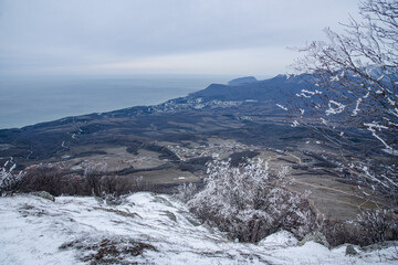 Branches frozen in strangely shaped ice due to the wind Demerdzhi mountain slope in spring. Crimea