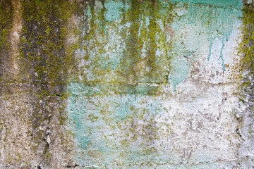 Old grungy concrete wall with mildew as background or texture