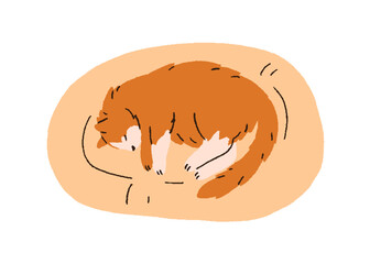 Cute cat sleeping in pets bed, on soft cushion. Home kitty lying on comfortable pillow. Adorable lovely sleepy feline animal relaxing. Flat vector illustration isolated on white background