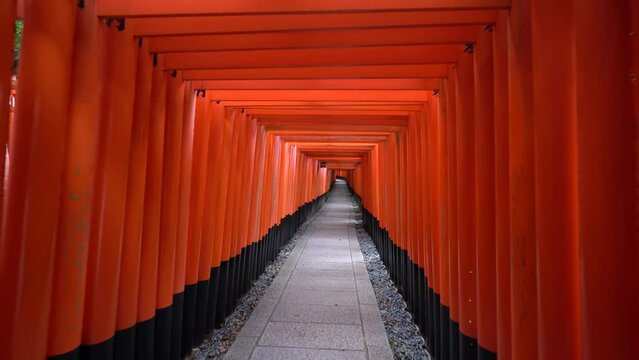 京都　伏見稲荷大社の千本鳥居