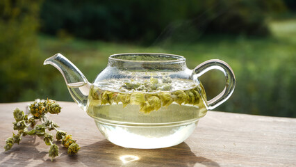 Herbal infusion in a tea pot, loose dried herbs displayed - ironwort (Sideritis, Mountain Tea or shepherd's tea)            © Cocosss