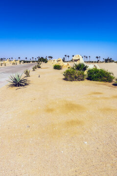 Egypt, Red Sea Governorate, Row of Criosphinx sculptures along empty road in Soma Bay