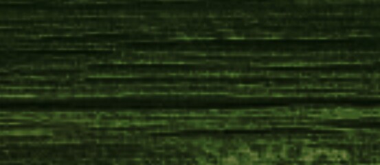 green binary code