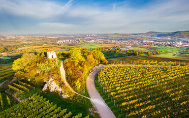 Germany, Baden-Wurttemberg, Drone view of autumn vineyards in Remstal