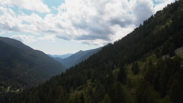 For&ecirc;t du mercantour