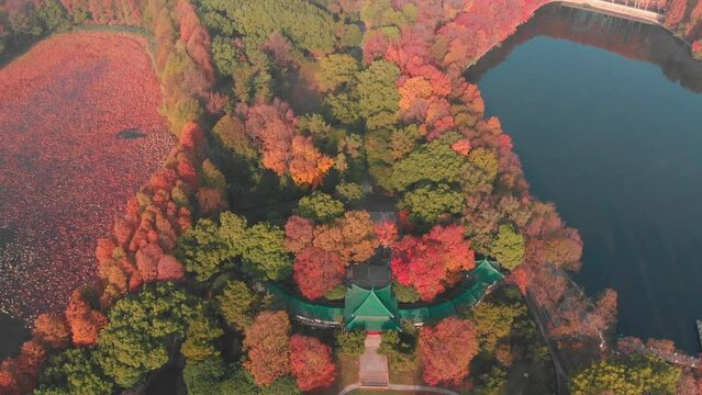 Hubei Wuhan East Lake Scenic Area Autumn Aerial Photography Scenery