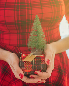 Woman in red dress holding gift with Christmas tree