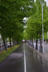 A wolk around the city of St. Petersburg / Helsinki, an overview of buildings, nature, culture and places of interest