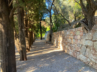 The alley in the park. The road is made of fine gravel. On one side are tall, green trees, and on...