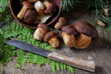 Imleria Badia or Boletus badius mushrooms commonly known as the bay bolete, clay bowl with mushrooms and knife on vintage wooden background..