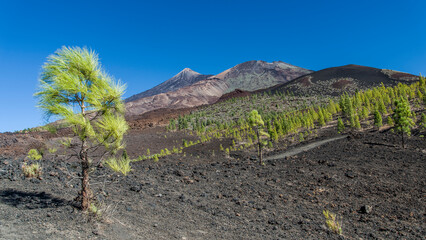 Tenerife view on el Teide Canary islands