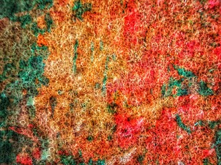 Abstract texture background colorful rough surface macro of leaf blank copy space for design elements 