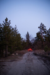 driving on the road, a trip to the forest by car