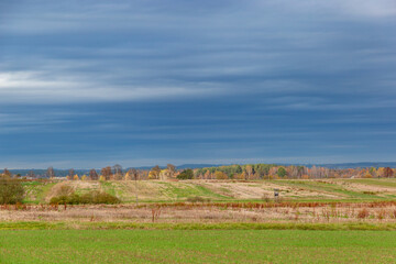 Fototapeta na wymiar Rural landscape in cloudy, autumn weather. Fields and forests. Late fall. Europe.