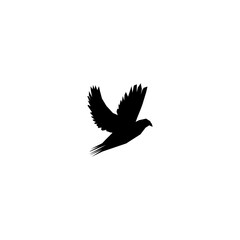 Dove icon isolated on white background 