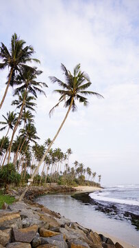 Original Sri Lanka with its cultural code and identity. Traffic, national and religious customs, buildings and nature. palm trees and ocean. beach on the island. © Nicolai