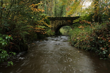 River flowing forest bordered by trees with leaves of varying shades and featuring arched stone bridge with rain beating down 