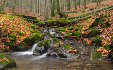 Beskidzki potok, The steam in Beskid © Konrad