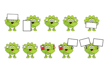 Obraz premium cute cabbage cartoon illustration graphic