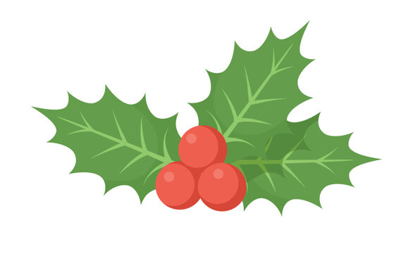 Common holly semi flat color vector object. Full sized item on white. Festive ornament. Christmas decorative plant simple cartoon style illustration for web graphic design and animation