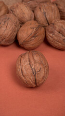 Closeup photo of a walnut seed in wooden bowl. Food that is good for brain and lower risk of heart...