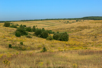 Obraz premium Summer hills landscape